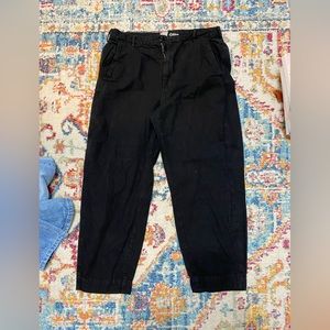 Everlane Black Arc Canvas Pant